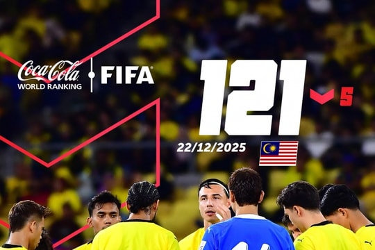 Malaysia tụt 5 bậc FIFA: Cơn thịnh nộ từ sai lầm nhập tịch