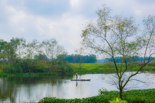 Phát triển sinh kế bền vững gắn với phục hồi hệ sinh thái tại Đà Nẵng và Cà Mau