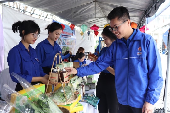 Khởi nghiệp không đi nhanh, mà đi đúng