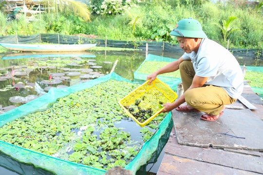 Hợp nhất Quỹ Hỗ trợ nông dân thành phố Đà Nẵng với nguồn vốn hơn 176 tỷ đồng