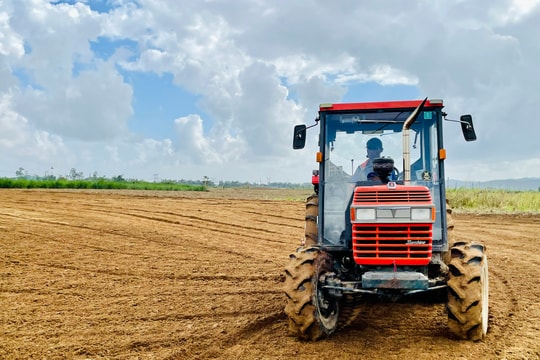 Sớm cải tạo đất bồi lấp sản xuất vụ đông xuân