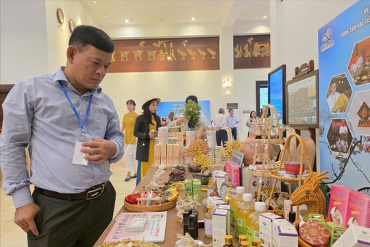 Vì sao sản phẩm Đà Nẵng cần nhãn hiệu chứng nhận?