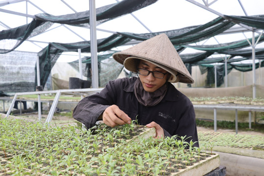 Gieo mầm nông nghiệp sạch