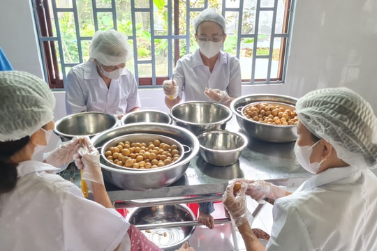 Xã Tiên Phước đạt 18/19 tiêu chí xã nông thôn mới