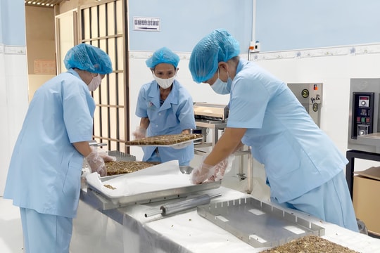 Nhộn nhịp không khí sản xuất đầu năm 2026 ở các hợp tác xã