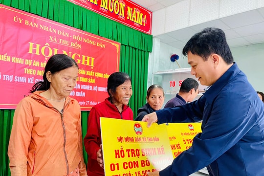 Xã Thu Bồn trao bò giống cho 45 hộ nghèo, hộ khuyết tật