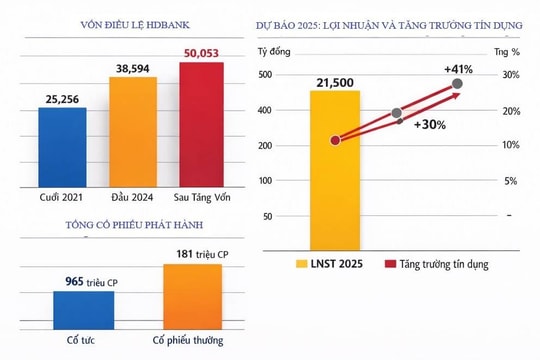 HDBank nâng vốn điều lệ lên hơn 50.000 tỷ đồng, lợi nhuận dự báo vượt kế hoạch