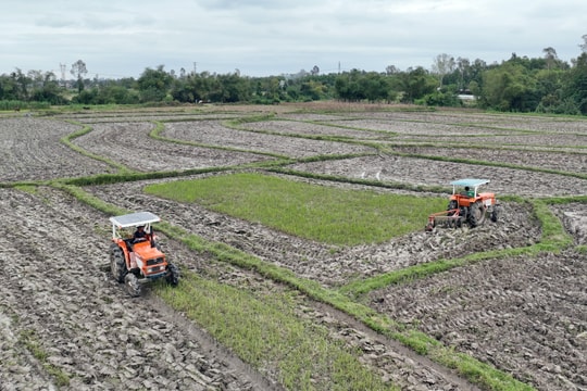 Nông dân tất bật xuống đồng vụ đông xuân