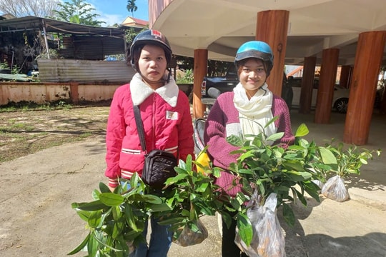 Tạo mô hình căn cơ cho người dân vùng thủy điện