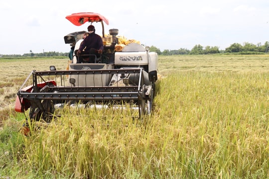 Đồng bộ quy hoạch không gian phát triển trồng trọt