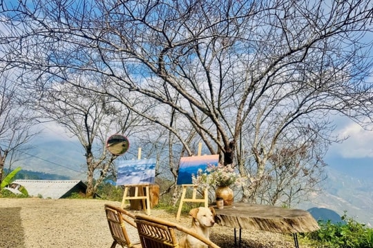 Tà Xùa: Check-in mái nhà gỗ chênh vênh giữa biển mây Tây Bắc