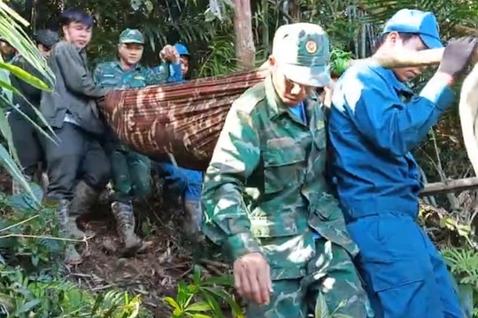 Cứu thành công một phụ nữ xã La Êê bị tai nạn trong rừng sâu