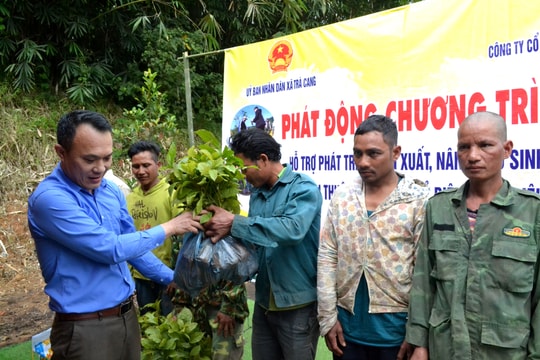 Phát triển cây trồng, vật nuôi chủ lực