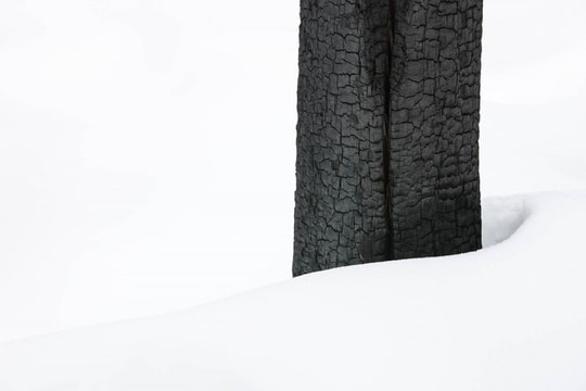 Bí quyết chụp ảnh tuyết đen trắng đẹp như nhiếp ảnh gia