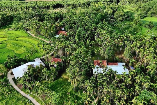 Nông dân xã Lãnh Ngọc thoát nghèo nhờ cơ chế hỗ trợ của Nhà nước