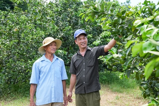 Nền tảng cho chặng đường mới