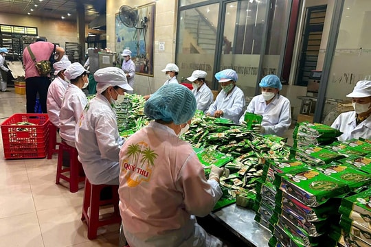 Vào mùa lao động thời vụ