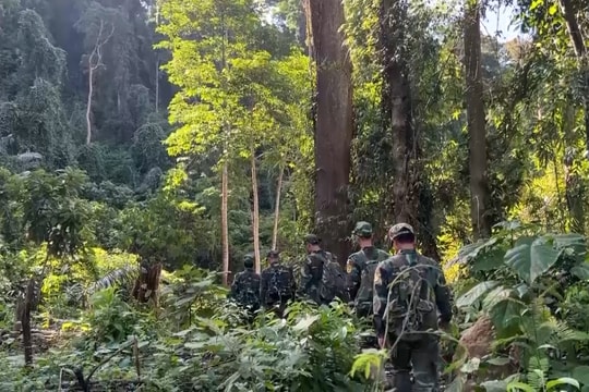 Vườn quốc gia Sông Thanh tổ chức 370 đợt tuần tra, kiểm tra rừng