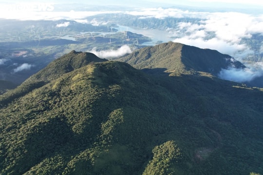 Voi Mẹp: Chinh phục 'nóc nhà' Quảng Trị và hành trình săn mây trên đỉnh đại ngàn Trường Sơn