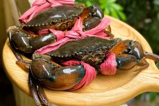 Giá cua Cà Mau tăng nóng lên 850.000 đồng/kg trước cao điểm Tết
