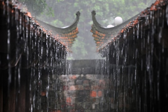 Em ở trong mùa em