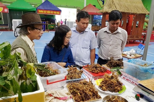 Ứng dụng khoa học công nghệ vào phát triển sâm Ngọc Linh