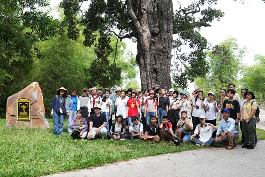 Phát huy giá trị "Cây di sản"