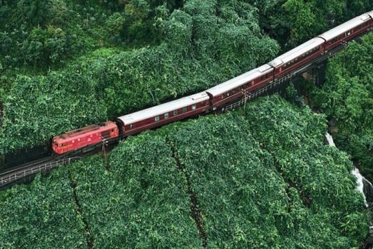 Xu hướng du lịch của giới trẻ năm 2026