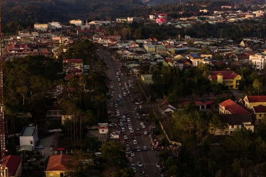 Măng Đen rực rỡ sắc hoa anh đào: Điểm đến hấp dẫn dịp đầu năm 2026