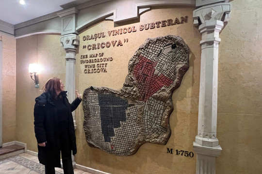 Cricova, thơm men xuân