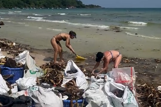Phú Quốc: Bãi Khem và bãi Sao ngập rác và lục bình dịp đầu năm 2026