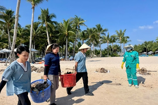 Phú Quốc: Hàng trăm người nỗ lực dọn rác xuyên đêm bảo vệ vẻ đẹp Bãi Kem