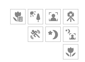 Hướng dẫn sử dụng 6 chế độ chụp ảnh cơ bản cho người mới bắt đầu