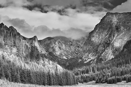 Quy tắc phân tách: Bí quyết nâng tầm ảnh phong cảnh đen trắng ngay lập tức