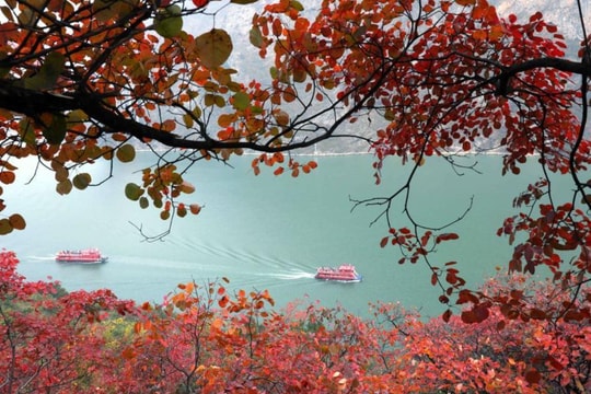 Sông Dương Tử là tuyến đường thủy nội địa nhộn nhịp nhất thế giới