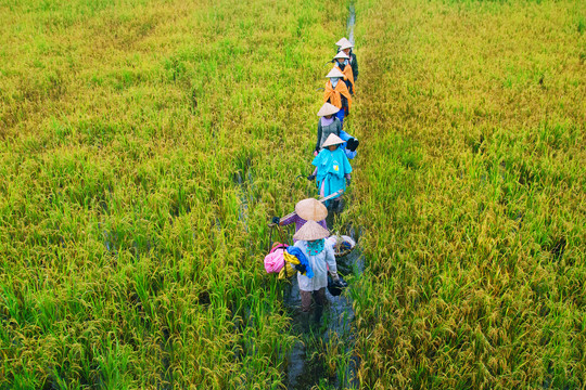 Địa danh liên quan đến ngựa ở xứ Quảng xưa