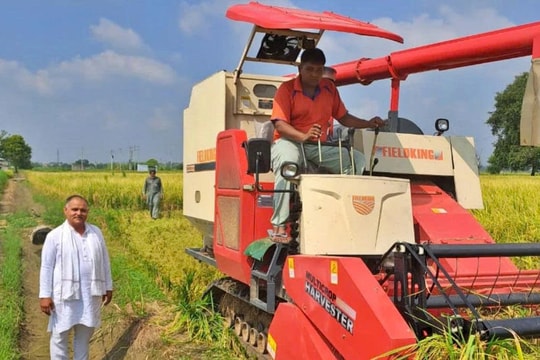 Ấn Độ trở thành nhà sản xuất gạo lớn nhất thế giới