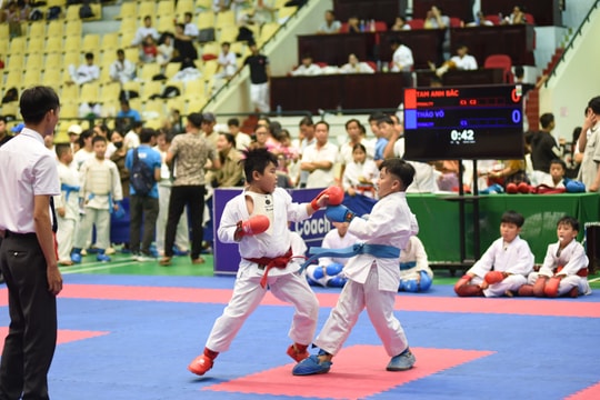 Hợp nhất liên đoàn thể thao để phát triển bền vững