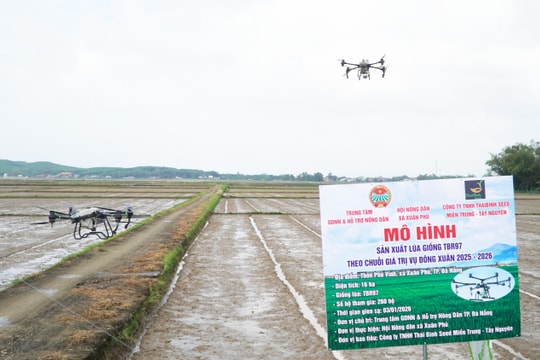 Ứng dụng công nghệ, đẩy mạnh liên kết sản xuất cho nông dân