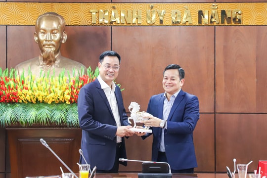 Tập đoàn VSIP Việt Nam khảo sát, nghiên cứu đầu tư tại Đà Nẵng