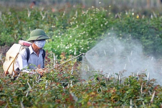 Tăng tỷ lệ thuốc sinh học trong danh mục thuốc bảo vệ thực vật mới