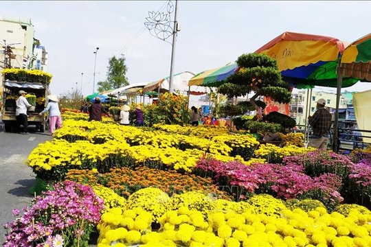 Phường Sơn Trà thực hiện đăng ký điểm bán hoa, cây cảnh Tết Bính Ngọ 2026