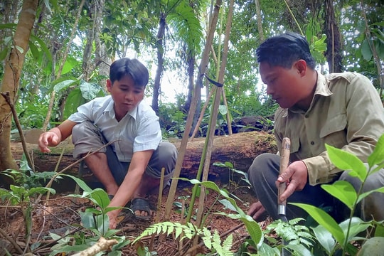 Nỗ lực vượt thu ngân sách