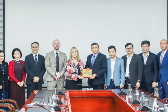 Đà Nẵng thúc đẩy hợp tác với UK Skills Partnership về đào tạo nhân lực tài chính xanh