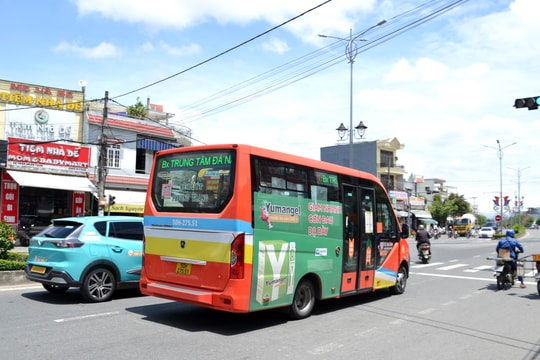 Đà Nẵng hiện có 12 tuyến xe buýt đang hoạt động