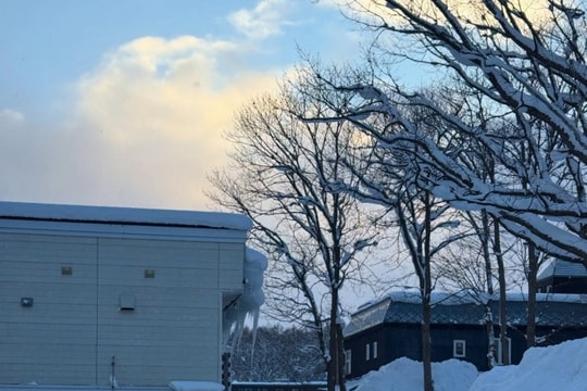 Niseko Nhật Bản: Kỳ nghỉ trượt tuyết đầu năm 2026 của gia đình Tăng Thanh Hà