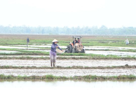 Nông dân Quảng Phú tất bật xuống giống vụ đông xuân 2025 - 2026