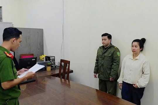 Triệt phá đường dây buôn lậu trên 90.000 cá thể tôm hùm giống qua đường hàng không