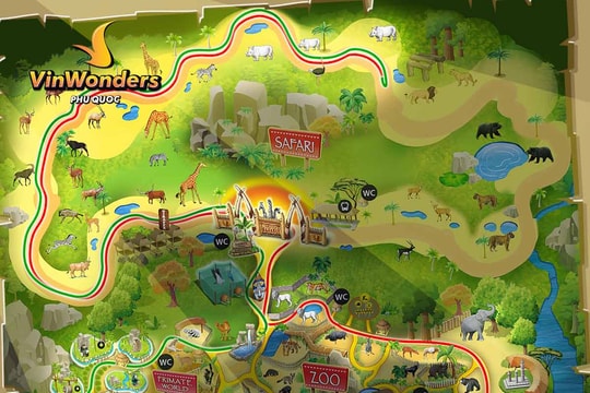 Night Safari Phú Quốc: Hành trình khám phá thế giới động vật hoang dã về đêm