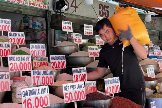 Giá lúa gạo hôm nay 10/1: Thị trường đi ngang, lúa OM 18 cao nhất 6.700 đồng/kg